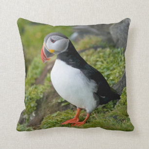 Norway, Svalbard Archipelago, Spitsbergen 9 Cushion