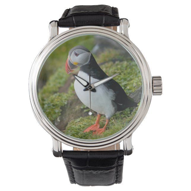 Norway, Svalbard Archipelago, Spitsbergen 9 Watch (Front)