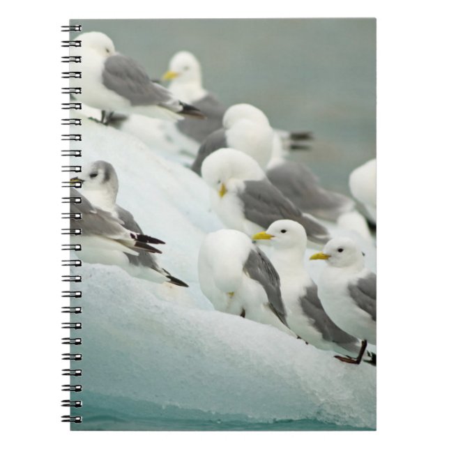 Norway, Svalbard Archipelago, Spitsbergen Notebook (Front)