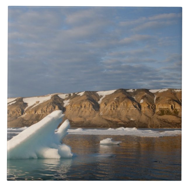 Norway, Svalbard, Spitsbergen Island, Setting Tile (Front)
