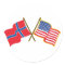 Norwegian American Flags
