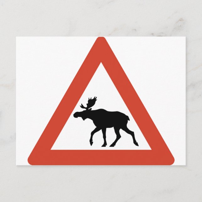 Norwegian Elk Postcard (Front)