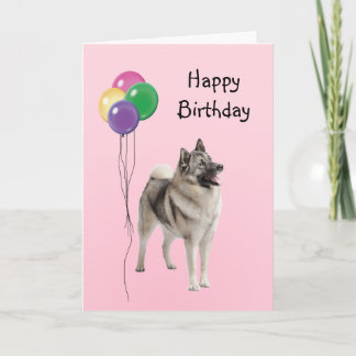 Norwegian Elkhound, Birthday Balloons Card