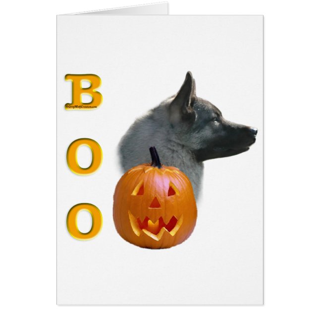 Norwegian Elkhound Boo (Front)