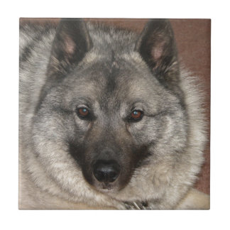 Norwegian Elkhound Ceramic Tile
