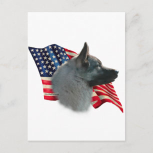 Norwegian Elkhound Flag Postcard
