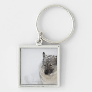 Norwegian Elkhound Key Ring