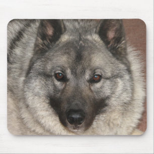 Norwegian Elkhound Mouse Pad