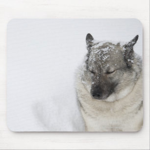Norwegian Elkhound Mouse Pad