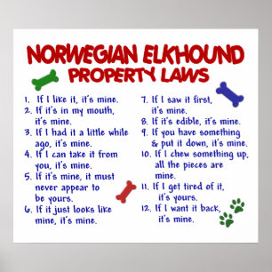 NORWEGIAN ELKHOUND PL2 POSTER