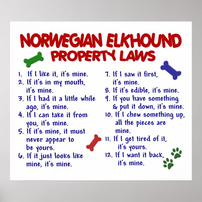 NORWEGIAN ELKHOUND PL2 POSTER (Front)