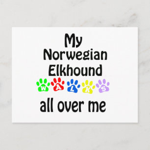 Norwegian Elkhound Walks Design Postcard
