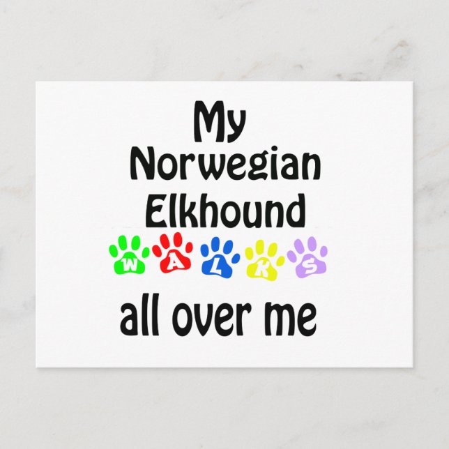 Norwegian Elkhound Walks Design Postcard (Front)