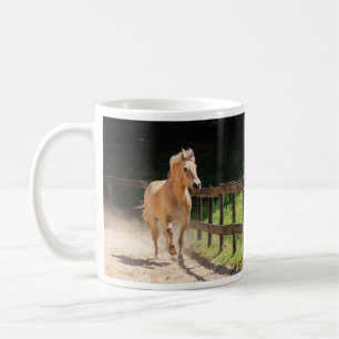 Norwegian Fjord Horse - Finn Coffee Mug