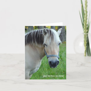 Norwegian Fjord Horse Greeting card
