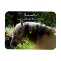 Norwegian Fjord Horse