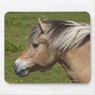 Norwegian Fjord Horse Mouse Pad