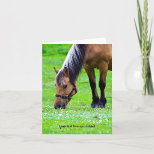 Norwegian Fjord Horse Thank You Card