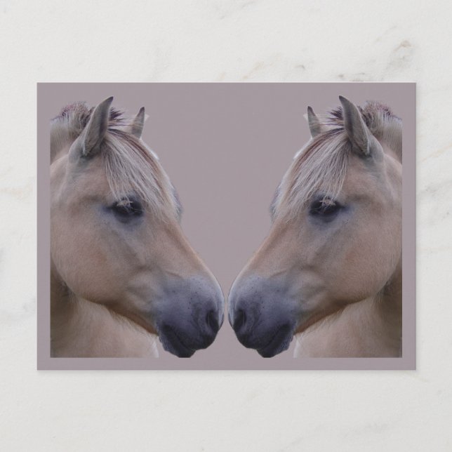 Norwegian Fjord Postcard (Front)