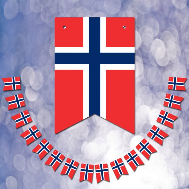 Norwegian Flag & Party Norway Banners / Weddings (Creator Uploaded)
