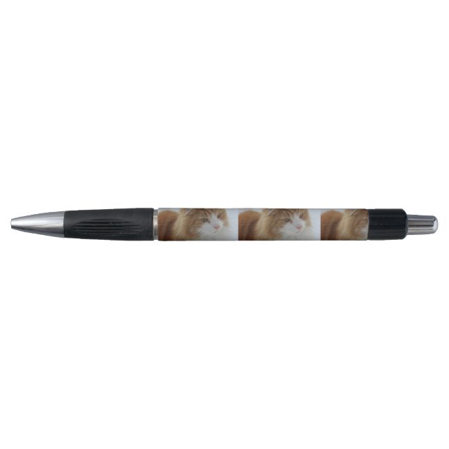 Norwegian_Forest_Cat (Front)