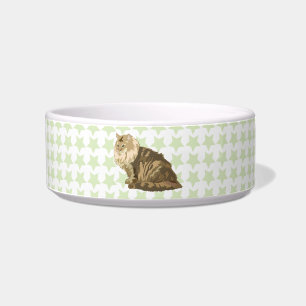 Norwegian forest cat bowl