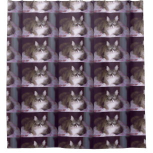 norwegian forest cat brown tabby laying shower curtain