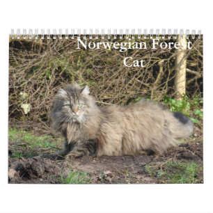 Norwegian Forest Cat Calendar