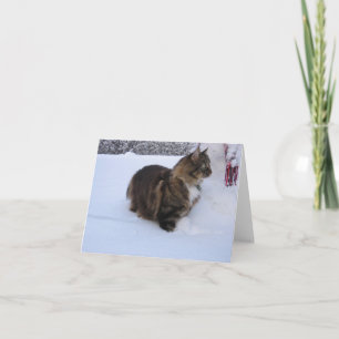 norwegian forest cat in snow card