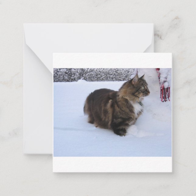 norwegian forest cat in snow card (Front)