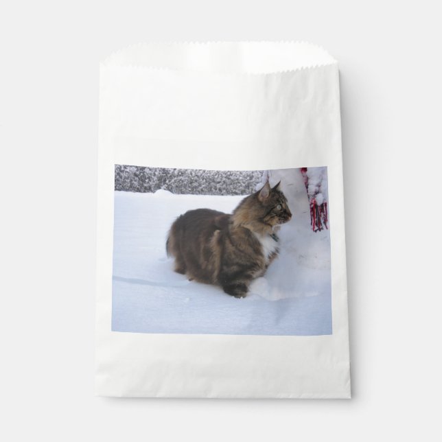 norwegian forest cat in snow favour bag (Front)