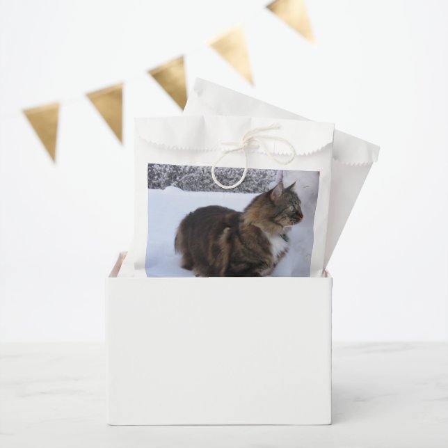 norwegian forest cat in snow favour bag (Party)