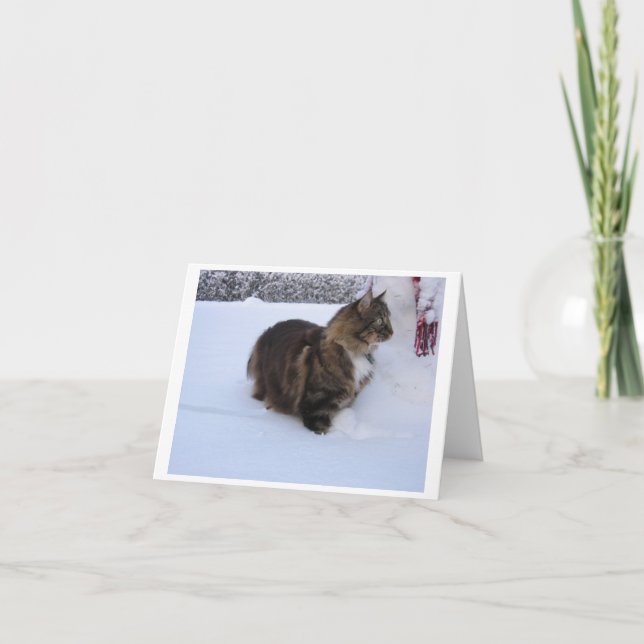 norwegian forest cat in snow invitation (Front)
