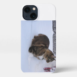 norwegian forest cat in snow iPhone 13 case