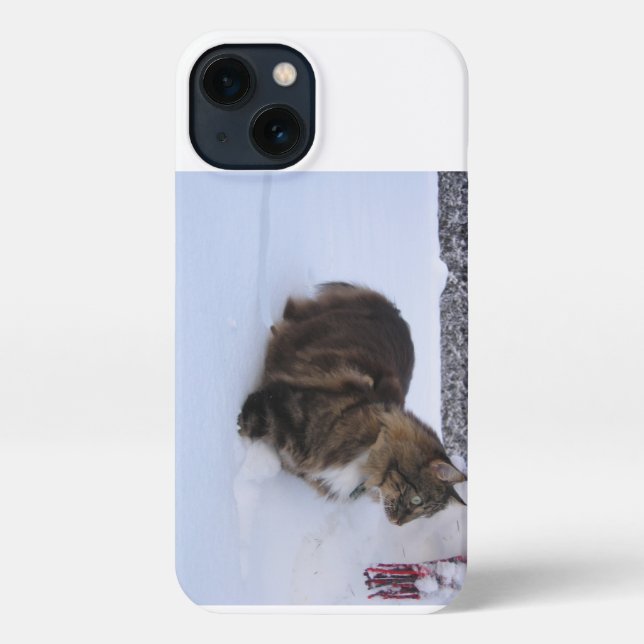 norwegian forest cat in snow iPhone case (Back)