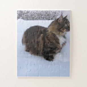 norwegian forest cat in snow jigsaw puzzle