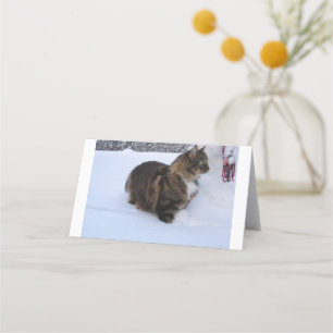 norwegian forest cat in snow loyalty card