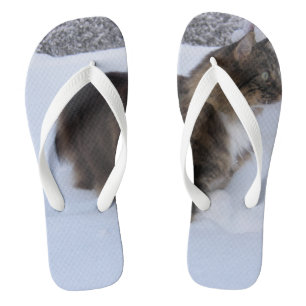 norwegian forest cat in snow thongs