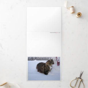 norwegian forest cat in snow Tri-Fold card