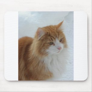Norwegian_Forest_Cat Mouse Pad