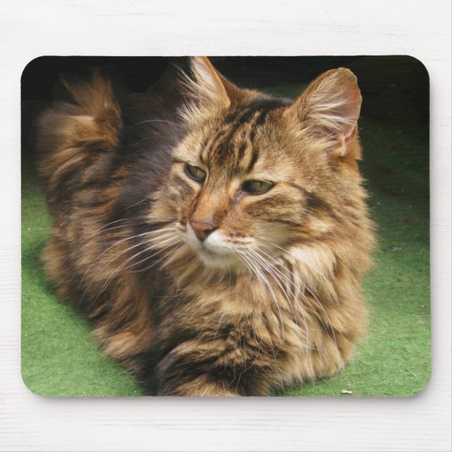 Norwegian Forest Cat Mouse Pad (Front)