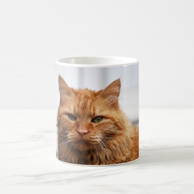 Norwegian Forest Cat Mug (Center)
