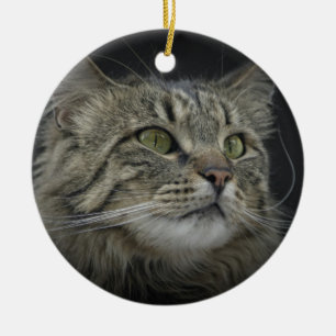 Norwegian Forest cat portrait Ceramic Ornament