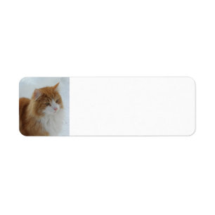 Norwegian_Forest_Cat Return Address Label