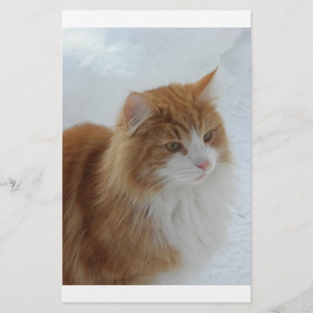 Norwegian_Forest_Cat Stationery (Front)