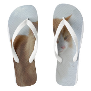 Norwegian_Forest_Cat Thongs