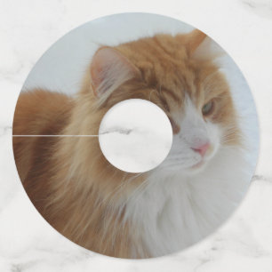 Norwegian_Forest_Cat Wine Glass Tag
