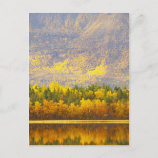 Norwegian Lapland in the autumn colours Postcard