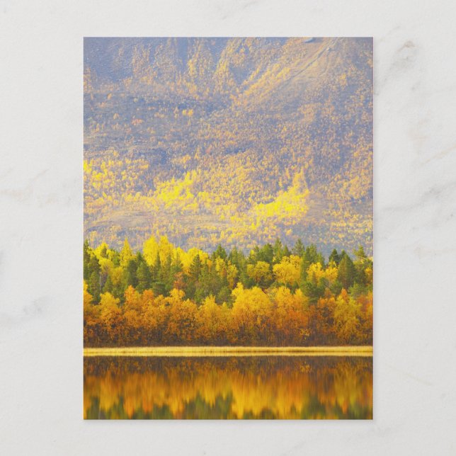 Norwegian Lapland in the autumn colours Postcard (Front)