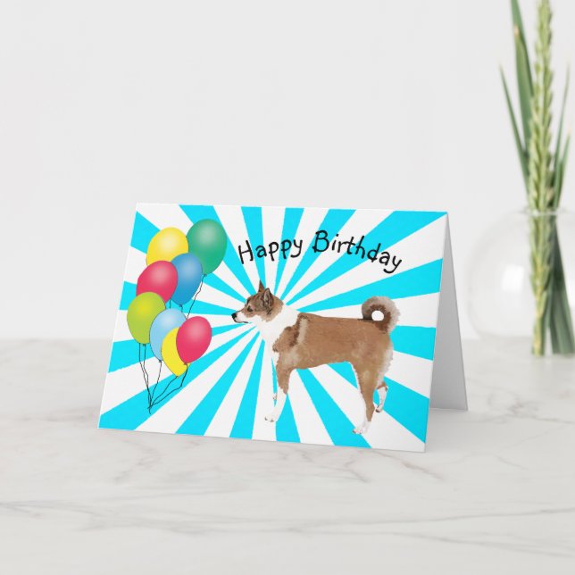 Norwegian Lundehund on white Starburst Birthday Card (Front)